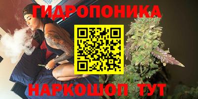 наркотики Дубна