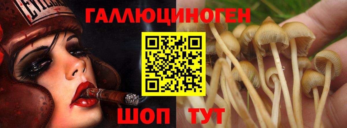 Миллерово  Галлюциногенные грибы мухоморы  Вход с VPN 